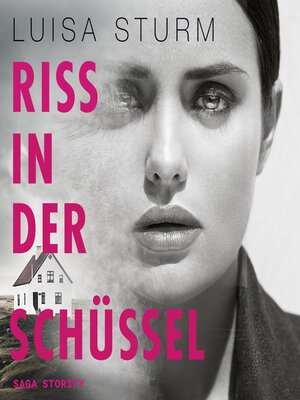 cover image of Riss in der Schüssel